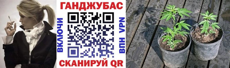 Купить Alpha-PVP  Каннабис  Меф мяу мяу  ГАШ  Княгинино