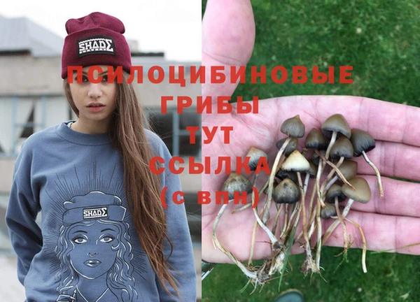 круглые Вязьма