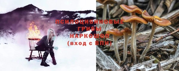 дмт Вязники