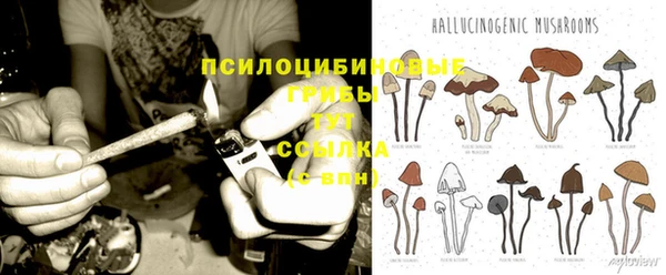 мдма Вяземский